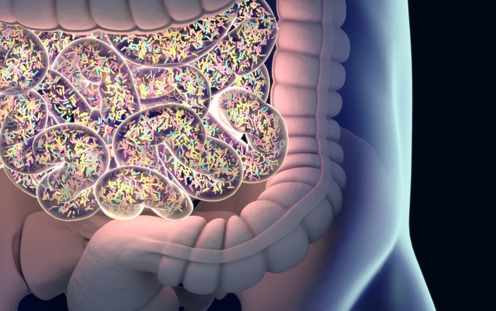 Gut microbiome