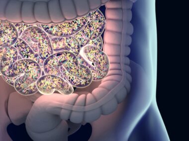 Gut microbiome