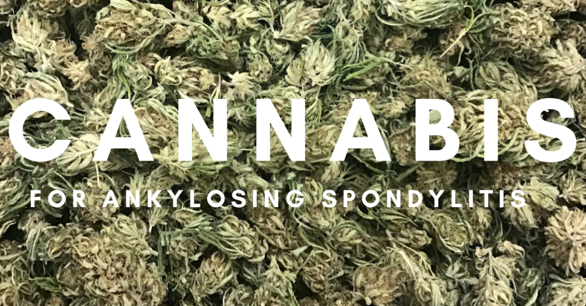 How Cannabis Has Reduced My Pain | Ankylosing Spondylitis News