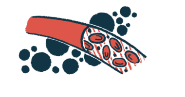 Blood cells are shown flowing through a blood vessel in this illustration.