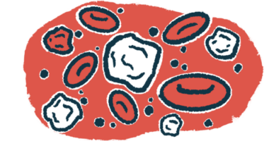 Blood cells are pictured in an illustration.