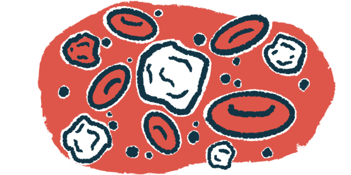 Blood cells are pictured in an illustration.